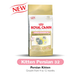 Canin Feline Health Persian Kitten 32 4kg