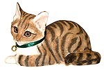 Royal Doulton Kitten Lying - Tabby