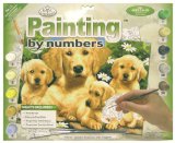 Large Painting By Numbers -Golden Retriever