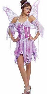 Secret Wishes Butterfly Costume - Size 12-14