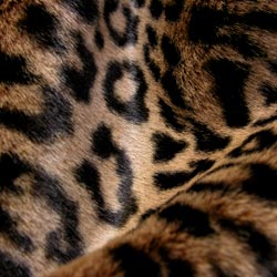 rucomfy Leopard Bratbag Medium faux fur bean bags