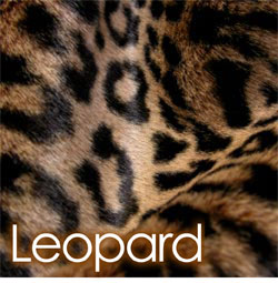 Leopard Faux Fur Cushion