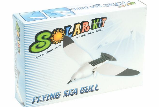 RVFM Solar Sea Gull 21-677
