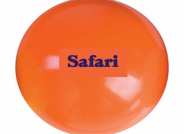 Safari Sports Safari Orange Smooth Hockey Ball