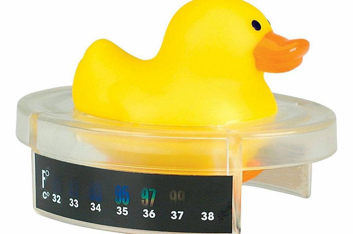 Floating Duck Thermometer 2014