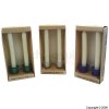 Waxy Facts Twin Candle and Holder Set