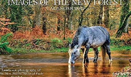 Salmon Images of the New Forest Deluxe Calendar 2015