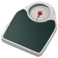 SALTER fitness medical style scale