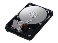 1TB HDD Spinpoint F1 SATA II 300 7200rpm 32MB cache Hard Disk Drive oem HD103UJ (Manufacturer` 3yr W