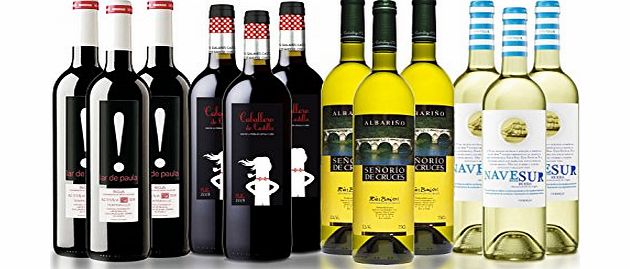 San Jamon Spanish Red and White Wine Mixed Selection Case of 12