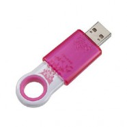 SanDisk 1GB Cruzer Fleur Pink USB Flash Drive