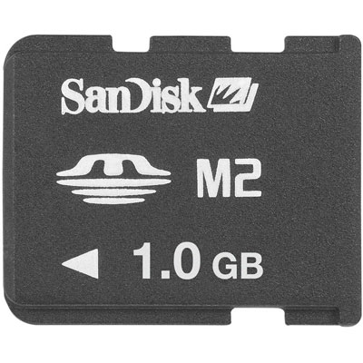 1GB M2 Memory Stick