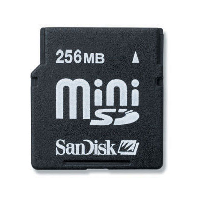 256MB Mini SD Card