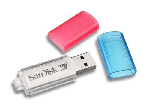 SanDisk 2GB Micro Cruzer USB Flash Drive