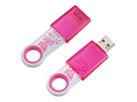 SanDisk Cruzer Fleur USB flash drive 2 GB Hi