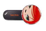 SanDisk Cruzer Snap 4GB Readyboost