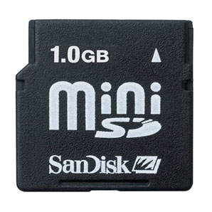 SanDisk Macro Secure Digital Card- 1GB