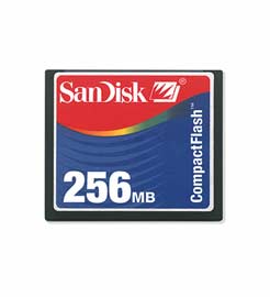 Sandisk SDCFB-256-485
