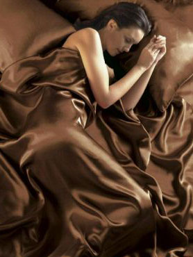 Satin Sheets Chocolate Satin Double Duvet Cover, Fitted Sheet and 4 pillowcases Bedding