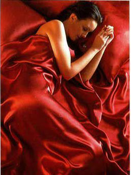 Satin Sheets Red Satin Double Duvet Cover, Fitted Sheet and 4 pillowcases Bedding