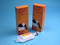 Schering-Plough Blackleg Vaccine