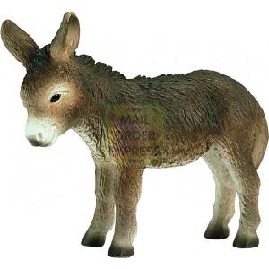 Donkey Foal