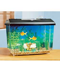 fish tank maintenance prices jpeg, Fish Tank Aquariums for Sale at the
Best Prices Best Fish
