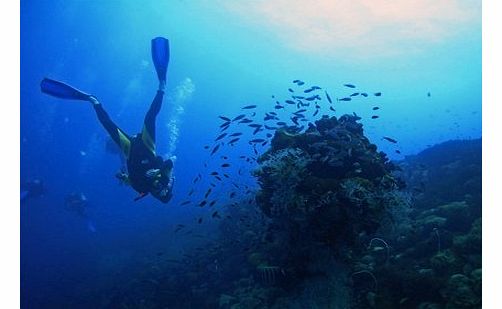 Scuba Diving - from Bodrum