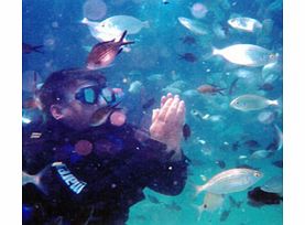 Scuba Diving from Kemer - Child