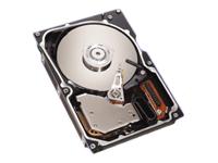 Seagate Cheetah 10K.6 - Hard drive - 36.7 GB - standard - 3.5" - Ultra320 SCSI - 10000 rpm - 8 MB