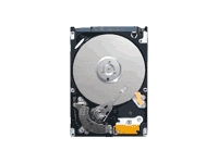 Momentus 5400.6 ST9250315AS - hard drive