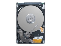 Momentus 7200.4 ST9160412AS - hard drive