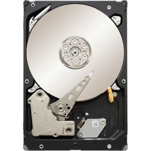 Seagate Technology Seagate Constellation.2 ST91000641NS 1 TB