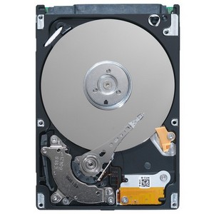 Seagate Technology Seagate Momentus 5400.6 ST9250315AS 250 GB