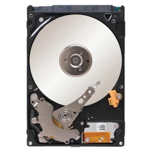 Seagate Technology Seagate Momentus ST9750423AS 750 GB Plug-in