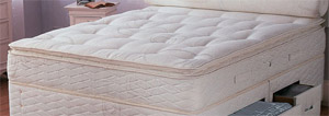 Sealy Pillow Comfort- 2 ft 6" Mattress