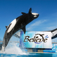 SeaWorld&reg; San Diego