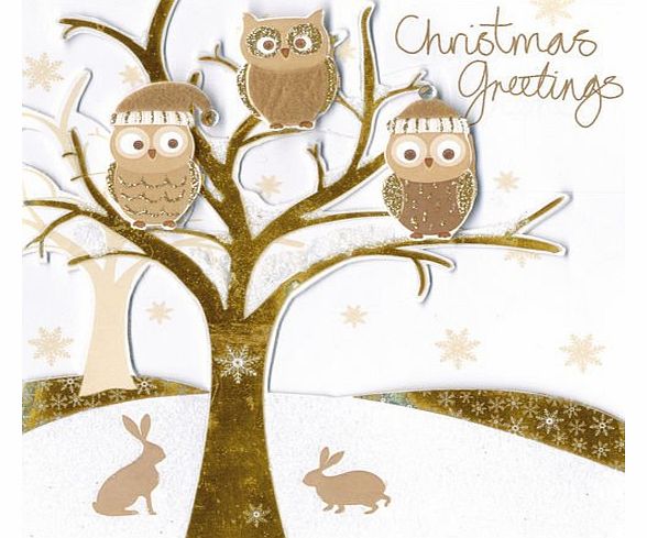 Second Nature `` Christmas Greetings `` Hand Finished Boxed Christmas Cards (5 Cards Per Box) - BSB211