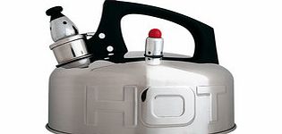 Hot silver-tone steel kettle
