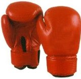 SHIHAN Boxing Gloves Leather - RED - 10z