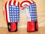 SHIHAN Boxing Gloves Leather / USA Print 10oz- LOW LOW PRICE !!!
