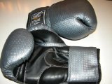 SHIHAN Boxing Gloves SILVER-10oz