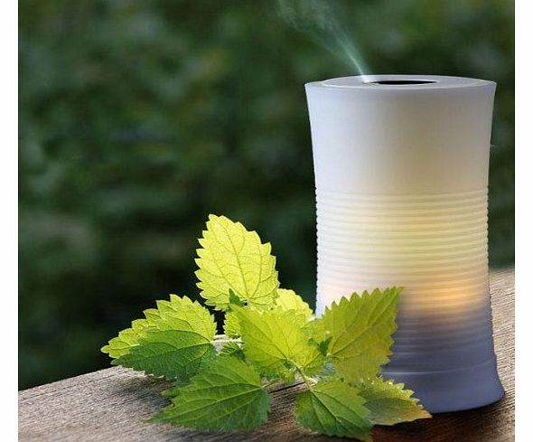 Signstek 100ML Aroma Diffuser Humidifier Ultrasonic Aromatherapy Air Mist Purifier LED Light 7 Colour Changing