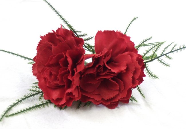 Double Red Carnation Buttonhole