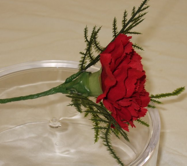 Red Carnation Buttonhole