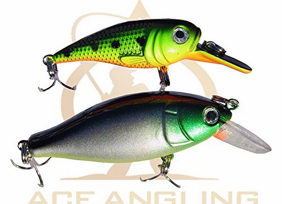 Silver Bullet Trading 2 x Fishing Plug Rattler Pike Perch Spinner Spoon Lure Set Deep 