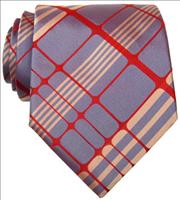 Blue / Red Mesh Silk Tie by
