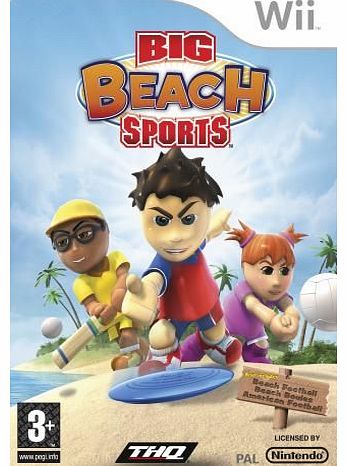 Big Beach Sports on Nintendo Wii