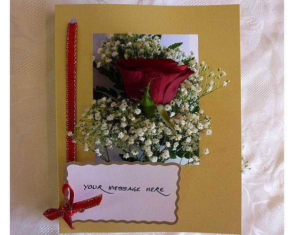 Single Red Rose fresh flower in a card by Post