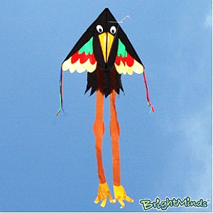 Bird Kite